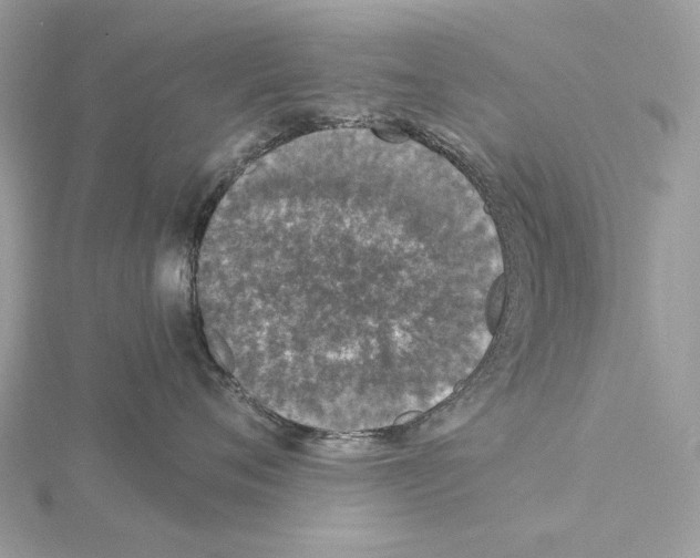 X0000115040720200912071109