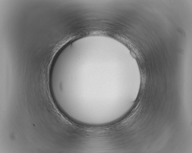 X0000115040721200912071108