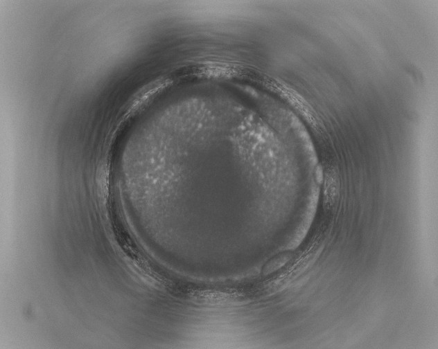 X0000115040722200912071108