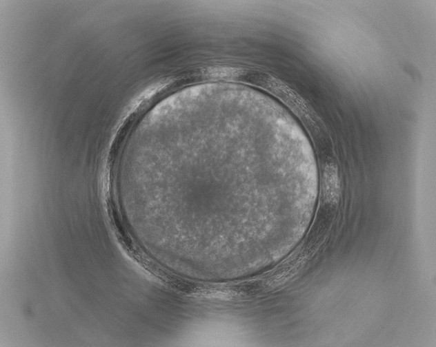 X0000115040726200912071109