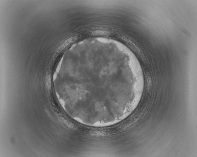 X0000115040729200912071109