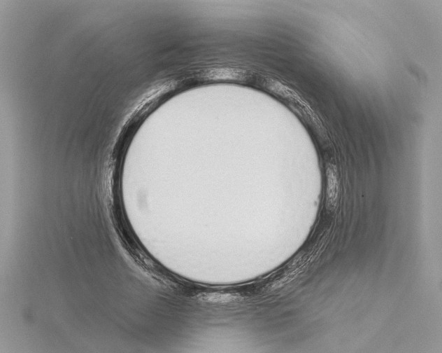 X0000115040730200912071109