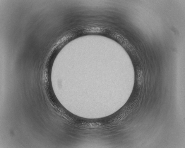 X0000115040731200912071109