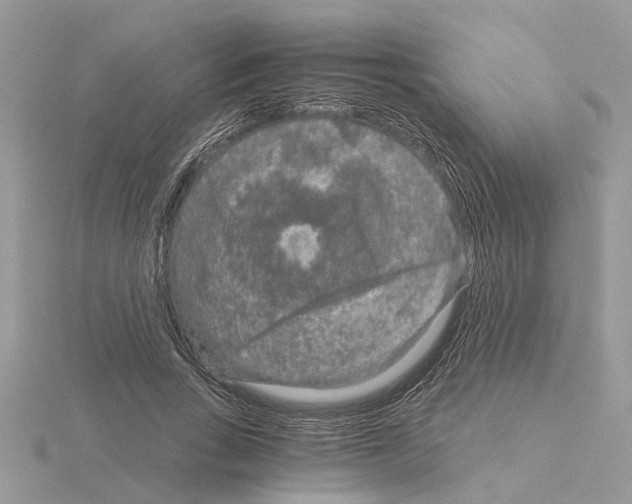 X0000115040735200912071109