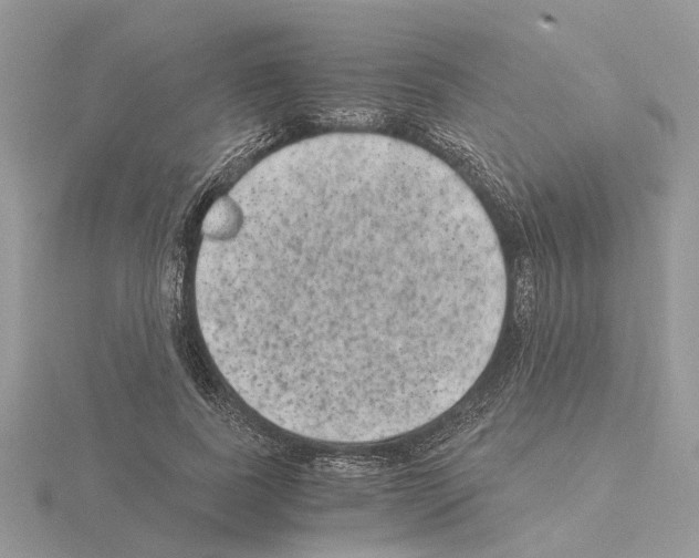 X0000115040739200912071109