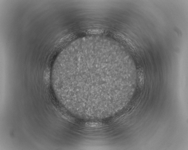 X0000115040745200912071109