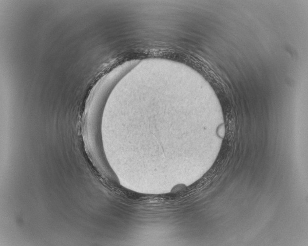 X0000115040750200912071109