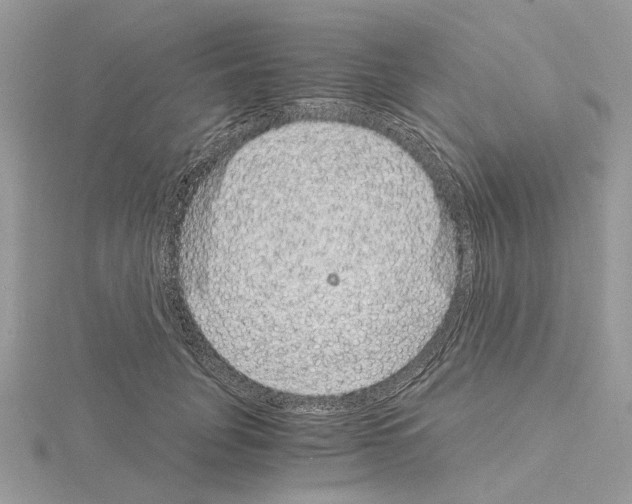 X0000115040751200912071109