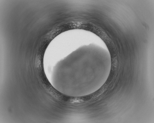 X0000115040754200912071109