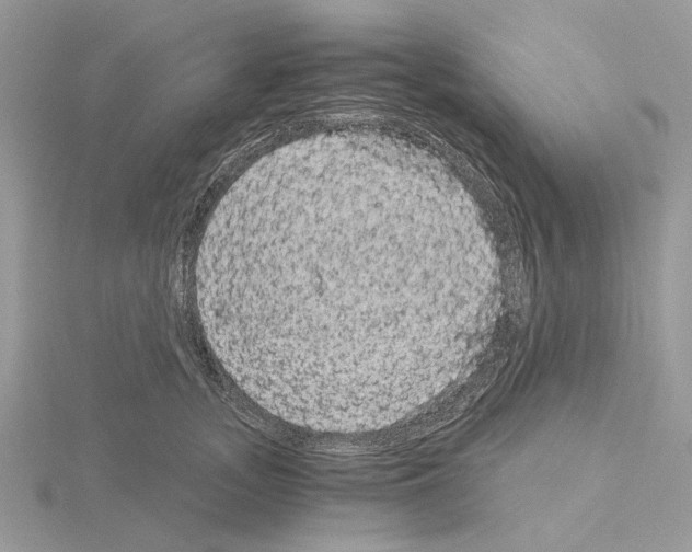 X0000115040755200912071109