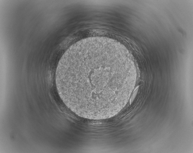 X0000115040759200912071109