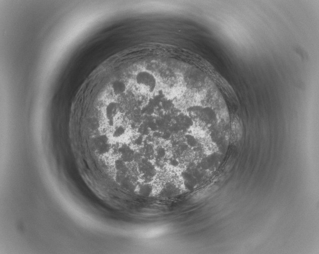 X0000115040765200912071109