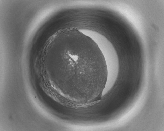 X0000115040766200912071109