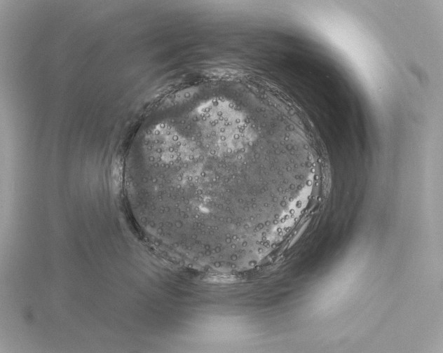 X0000115040767200912071109