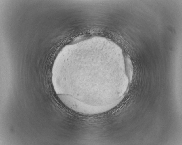 X0000115040769200912071108