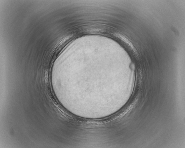 X0000115040777200912071108