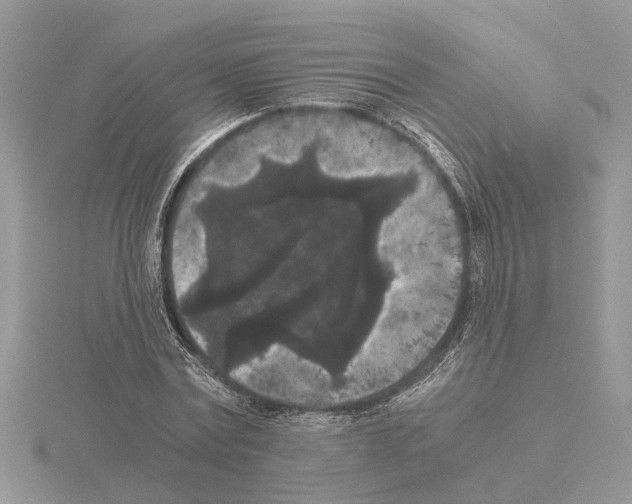 X0000115040779200912071108