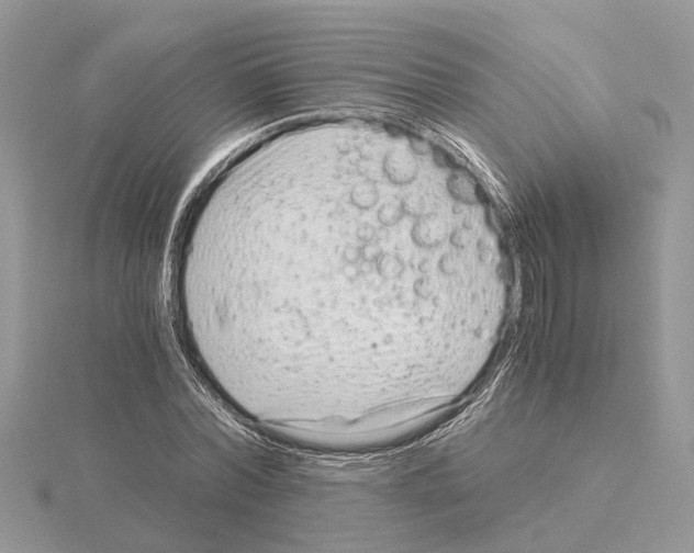 X0000115040780200912071108