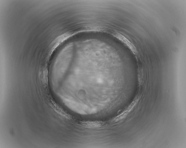 X0000115040781200912071108