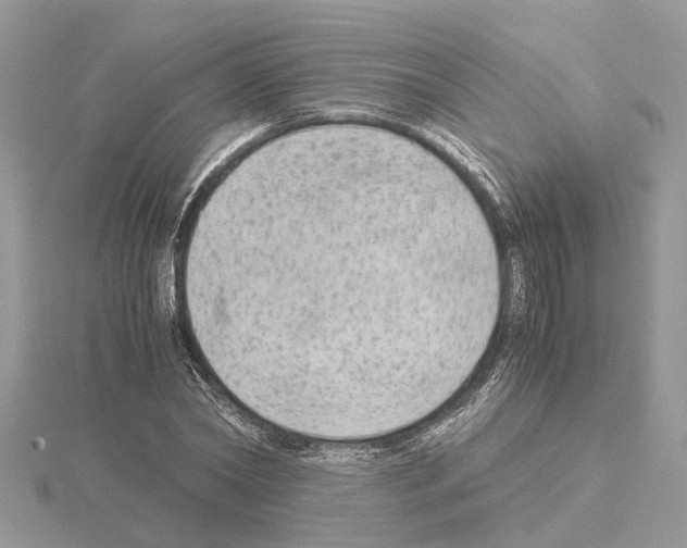 X0000115040782200912071108