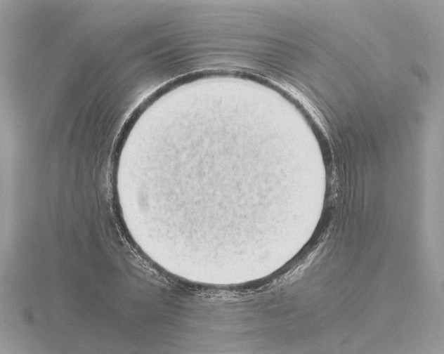 X0000115040783200912071108