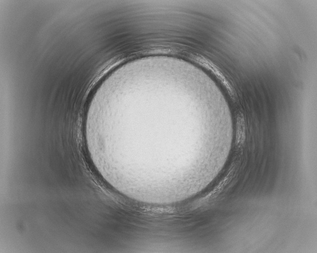 X0000115040786200912071108