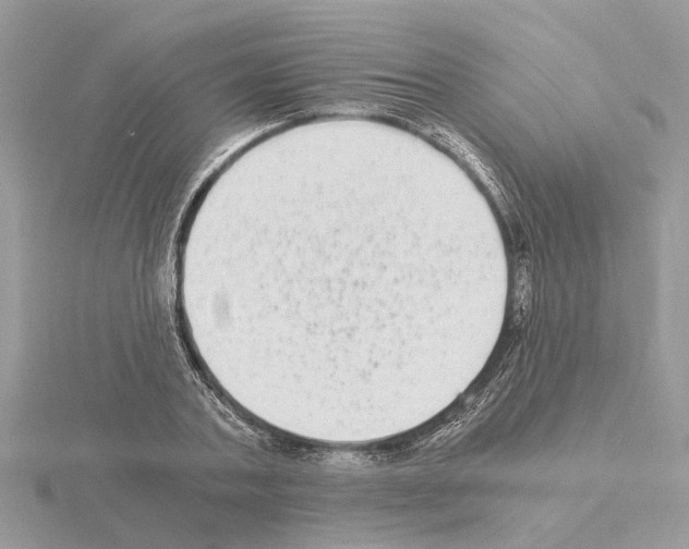 X0000115040787200912071108