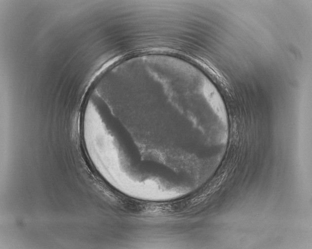 X0000115040790200912071108