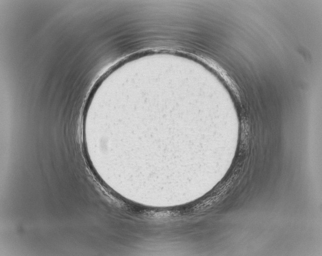 X0000115040791200912071108