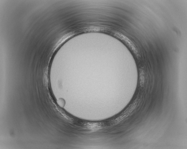 X0000115040794200912071108