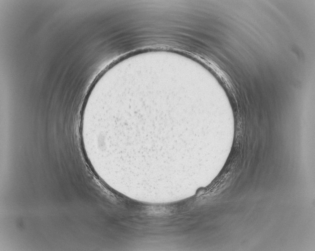 X0000115040799200912071108