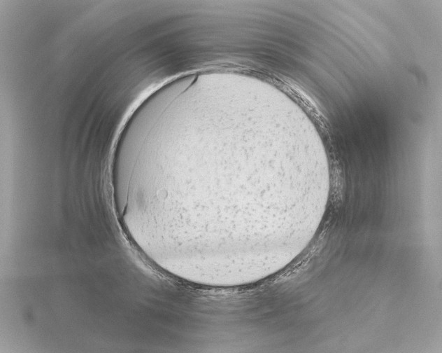 X0000115040800200912071108