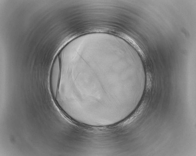 X0000115040802200912071108