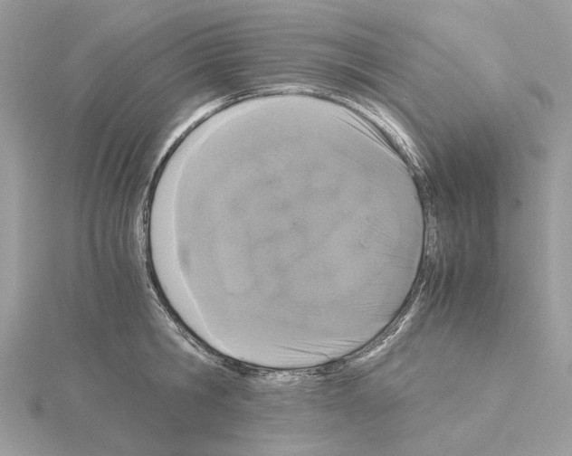 X0000115040806200912071108