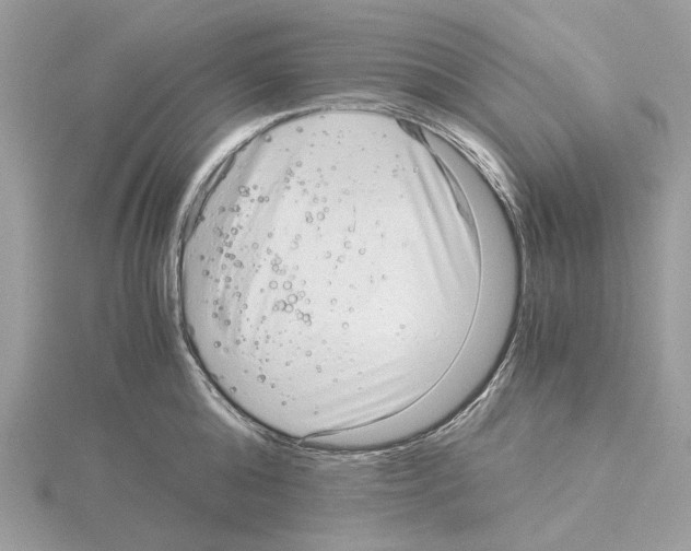 X0000115040808200912071108