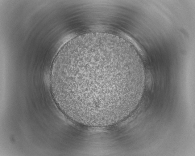 X0000115040810200912071108