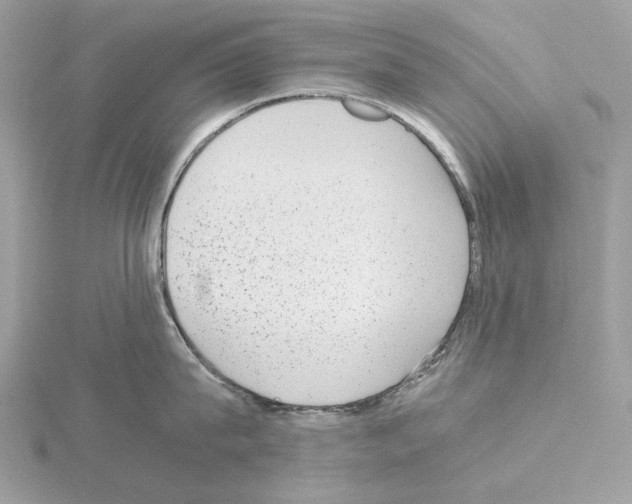 X0000115040815200912071108