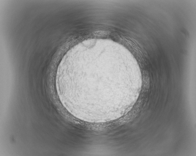 X0000115040817200912071107