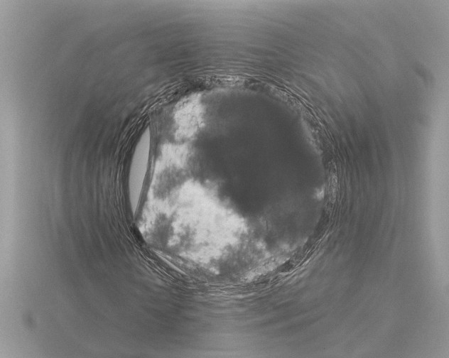 X0000115040818200912071107