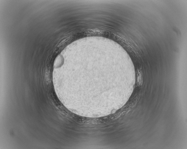 X0000115040819200912071107