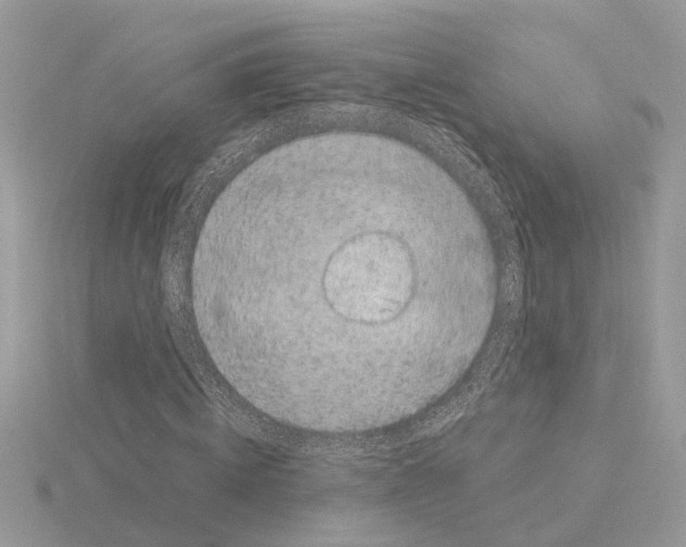 X0000115040820200912071107