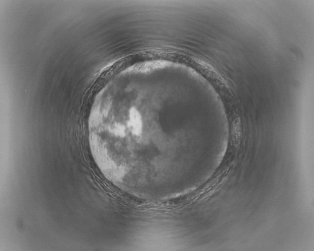 X0000115040822200912071107