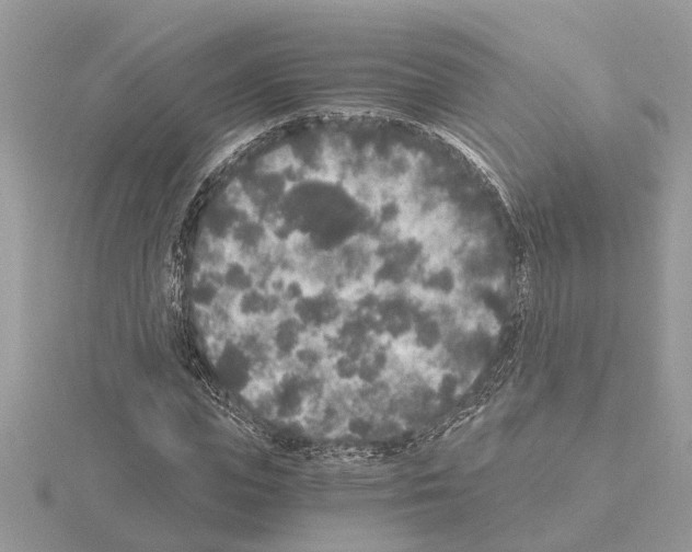 X0000115040823200912071107