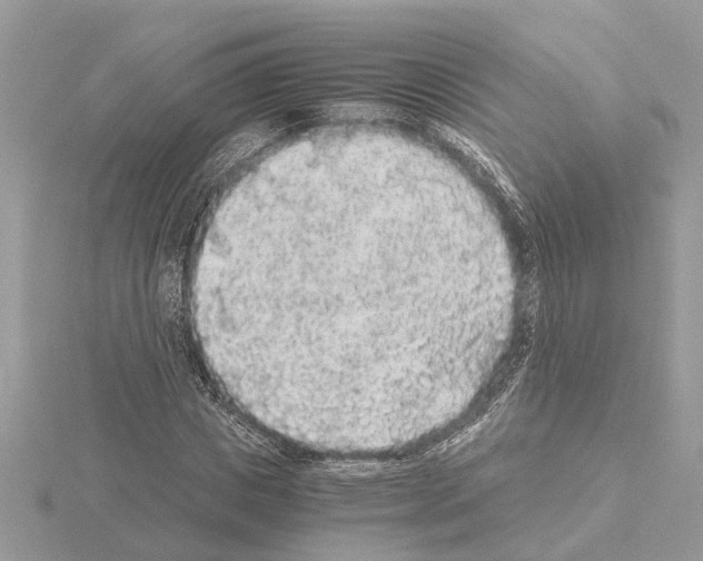 X0000115040825200912071107