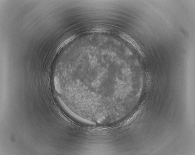 X0000115040826200912071107