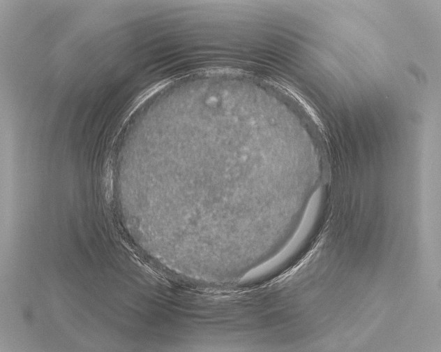 X0000115040829200912071107