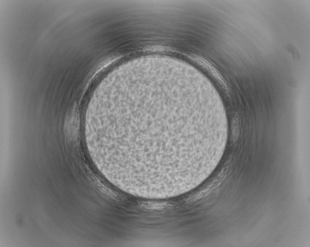 X0000115040831200912071107