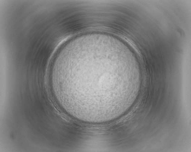 X0000115040832200912071107