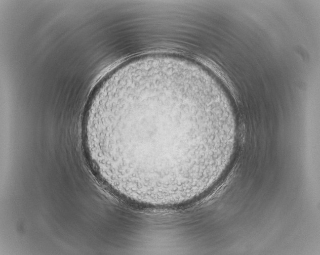 X0000115040834200912071107