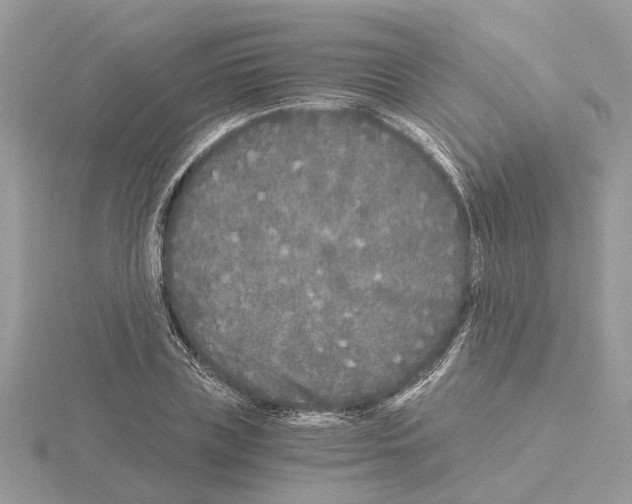 X0000115040835200912071107